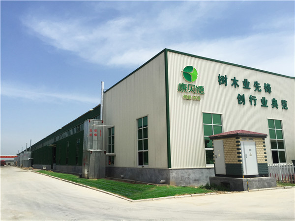 5f82b710d8ece.jpg